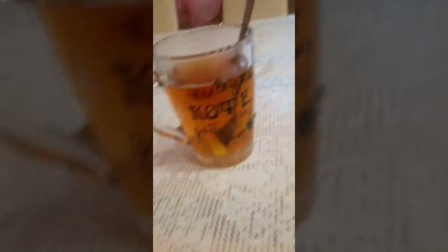 VLOG|на улице гололёд 🌚|кормлю кошку|[VLOG🐬🌸❤️ смотреть онлайн