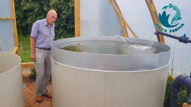 Аквапоника. Осетр+салат и перчики. Ч2 | Akva Ferma смотреть онлайн