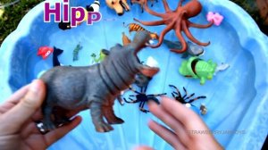 Learn Sea Animal Wild Zoo Animals Names Education Video Animal Toys For Kids
