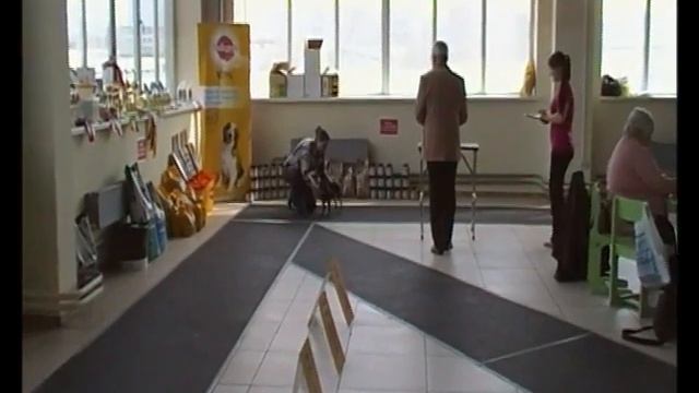 Красноярск, моно гриффонов 01.05.2016 смотреть онлайн