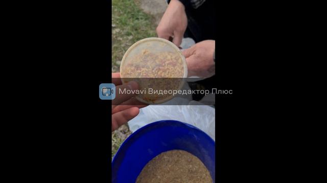 Рыбалка в Польше, на замечательном водоёме! Открытие сезона! смотреть онлайн