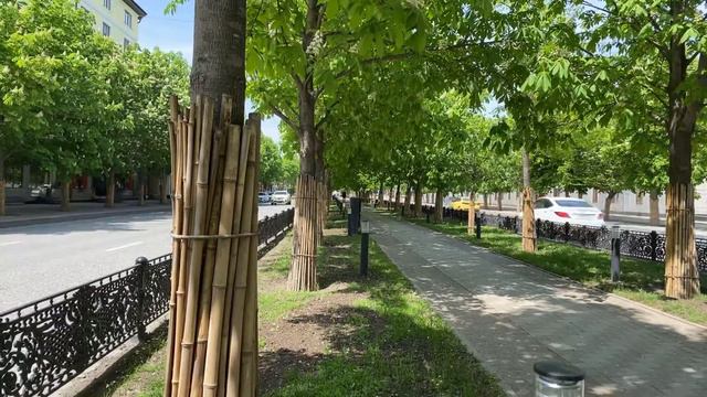 БИНЬЯМИН НЕТАНЬЯХУ САРА БЕН АРЦИ НАБИУЛЛИНА ЛИНН ДЕ ФОРЕСТЕР РОТШИЛЬД РОКФЕЛЛЕР БАРУХ ПЕРЕДЕЛ ДЕНЕГ смотреть онлайн
