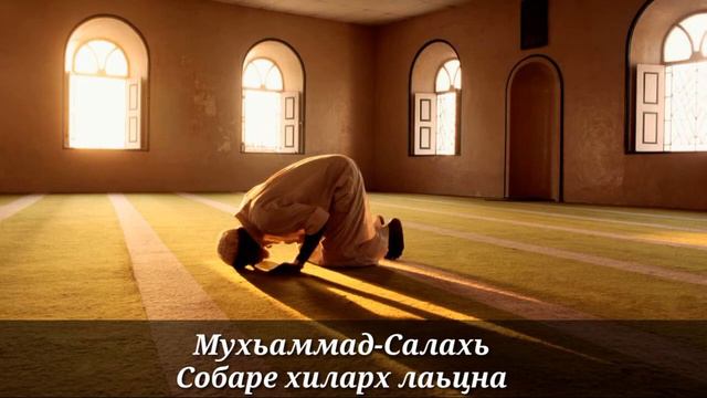 Мухьаммад-Салахь/ Собаре хиларх лаьцна смотреть онлайн