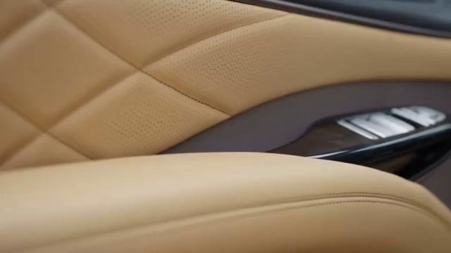 Denza D9 Favourite MPV