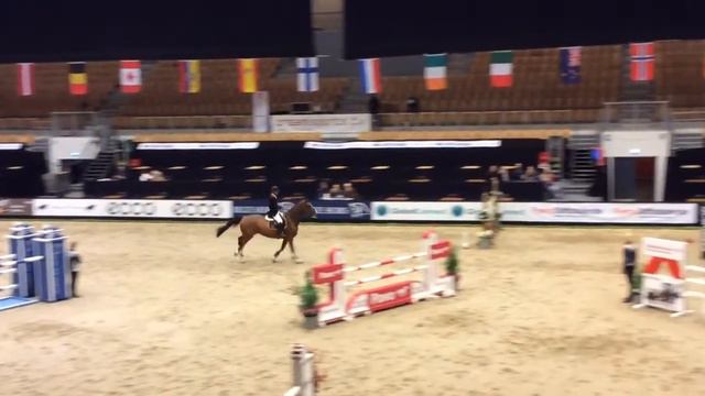 Kim Christer Andersen & Baloutoni F. Vejgård JBK Horse Show d. 14/10- 15 смотреть онлайн