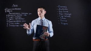 ГЕОГРАФИЯ 8 класс: Леса России