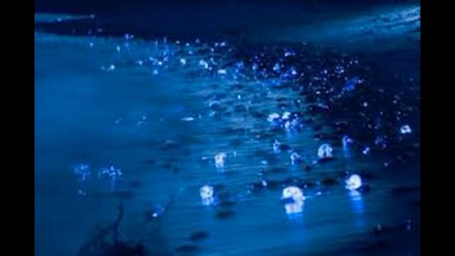 Откровение - Симфония Солнца И Моря смотреть онлайн