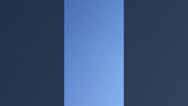 николаеаские голуби(4) смотреть онлайн