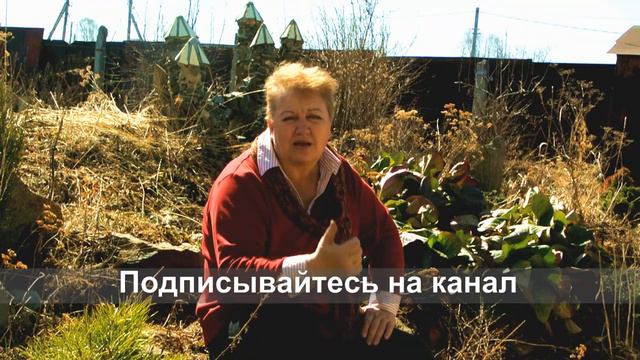 Слово "вдруг" в творчестве художника. смотреть онлайн