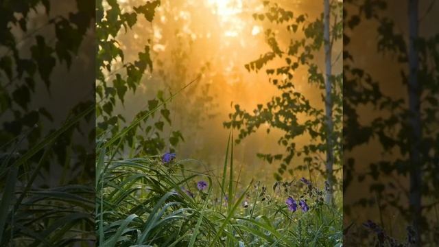 Утренняя медитация "Благодарность" смотреть онлайн