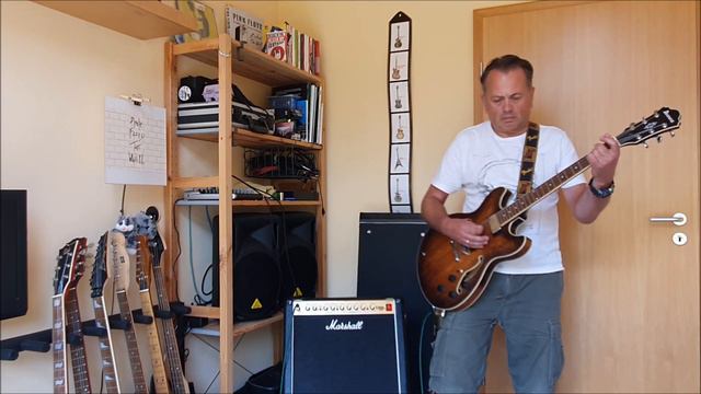 Wort zum Sonntag - Die Toten Hosen Guitar Cover смотреть онлайн