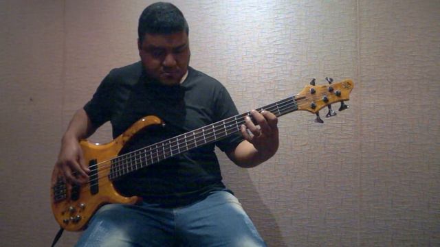 Dream Theater - Erotomania - Bass Cover смотреть онлайн