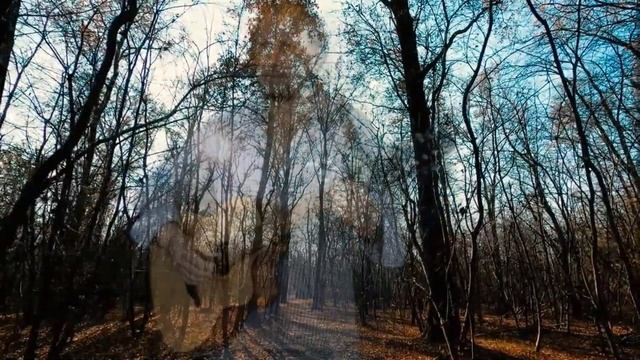 “Осенний дефолт” стихи Алексея Брюшневского, исполняет Алексей Брюшневский. смотреть онлайн