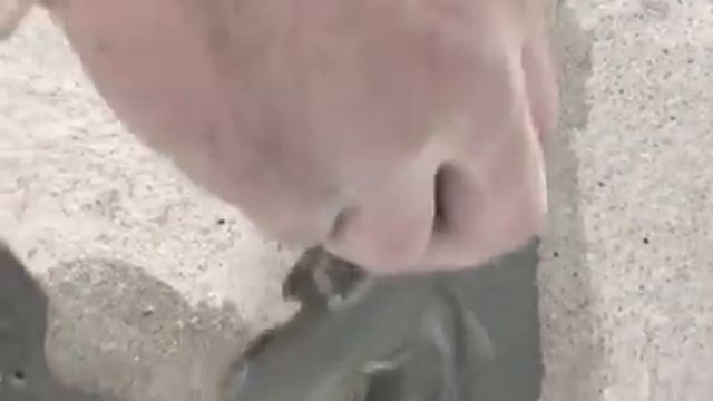 Ремонт стяжки часть 4 . смотреть онлайн