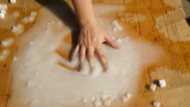 GISHWHES 2015 - Item #67 - Sugar cube disaster смотреть онлайн