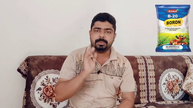 NPK 00:00:50 + बोरोन दोनो के फायदे ।।Npk 000050 ।। Boron 20% ।। Water soluble fertilizer ।। Boron смотреть онлайн