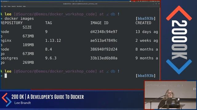 A Developer's Guide to Docker - Lee Brandt: 200 OK 2018 смотреть онлайн