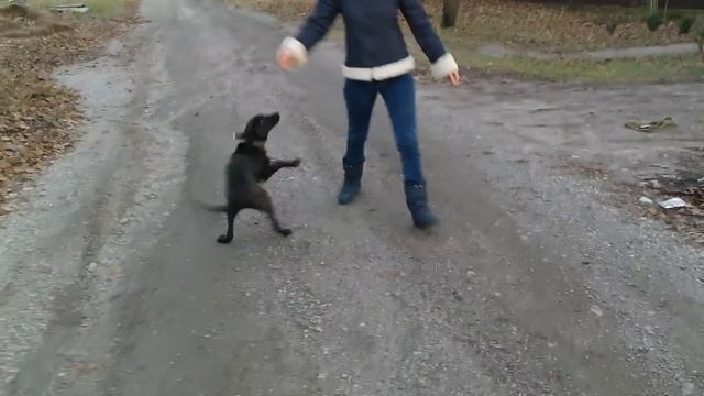 Ищем семью для Геры! смотреть онлайн