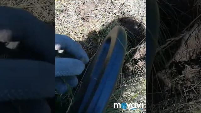 Первый коп, снятый на мобильный телефон... смотреть онлайн