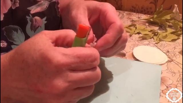 СОЗДАДИМ ПРЕКРАСНУЮ ПЕТУНИЮ