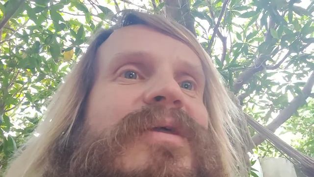 Кто мы есть и зачем мы здесь смотреть онлайн