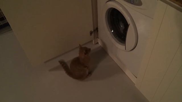 Multsik ja pesumasin смотреть онлайн