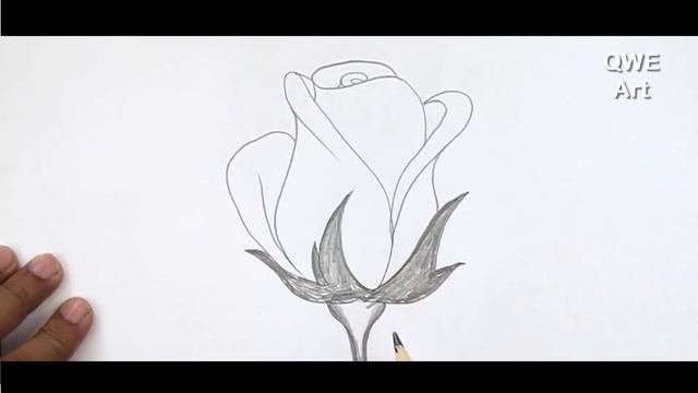 ROSE DRAWING ? easy смотреть онлайн