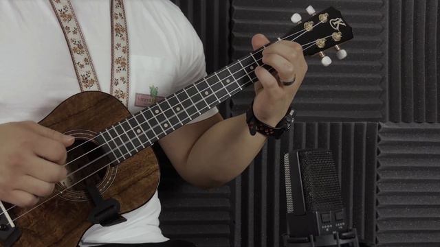 Fly Me to the Moon - Frank Sinatra (StrummingPanda cover) смотреть онлайн