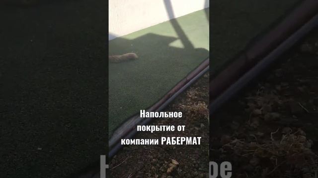 Рулонное напольное покрытие для входных групп и отмостки домов. #напольноепокрытие #входнаягруппа смотреть онлайн
