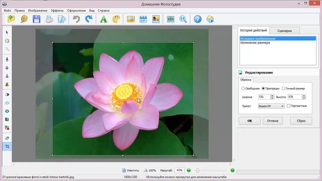 Как уменьшить размер фотографии на компьютере