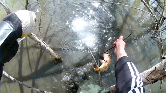Рыбалка с рогаткой SLINGSHOT FISHING