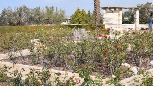 גני הברון רוטשילד. רמת הנדיב. Сады Барона Ротшильда смотреть онлайн