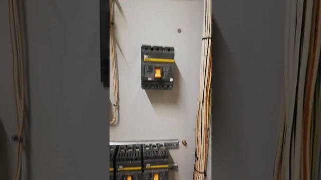 сборка электро щитка с трансформаторами тока #электрик #электрощит смотреть онлайн