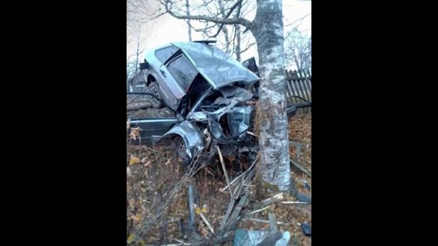 ВАЗ-2114 врезался в дерево в Коми смотреть онлайн