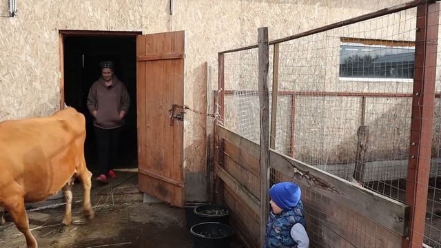 300 ПИРОЖКОВ на УЖИН +УТКА( рецепт) смотреть онлайн