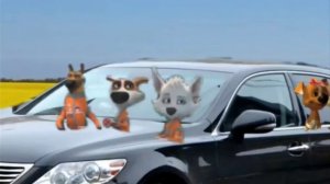 Весёлая карусель - Выпуск 333