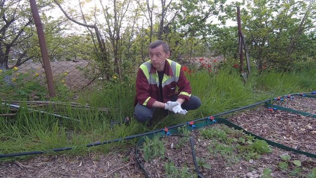 Капельный полив своими руками / Быстро просто и надежно / 10 соток смотреть онлайн