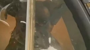 Русский крест. Георгий Жженов. 2 часть.