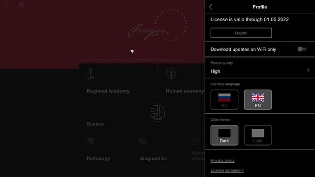 Ирина Смилык о практике применения атласа Пирогов в Институте анатомии Сколково смотреть онлайн