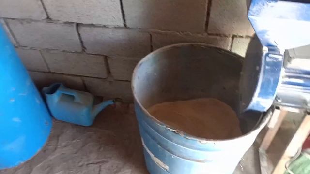 Разведение бройлеров Кобб 500. помещение для кур, бройлеры, бройлеры в домашних условиях, кобб500, смотреть онлайн