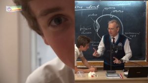 Урок 215 (осн). Глаз. Зрение. Восприятие цветов