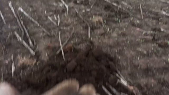 Спонтанный выход. смотреть онлайн