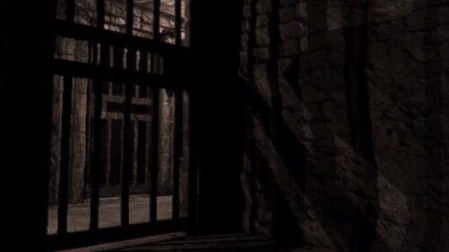 У неё моё лицо. Озвучка фанфика. Драмиона || Dramione
