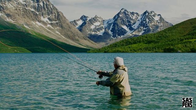 20 САМЫХ ОПАСНЫХ ВИДОВ СПОРТА смотреть онлайн