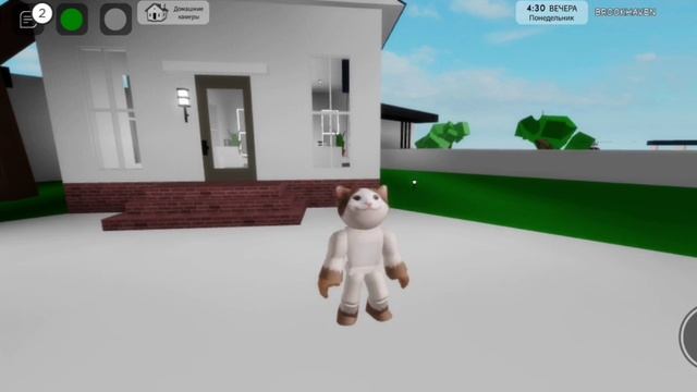 Как сделать скин поп кета? в Brookhaven RP? смотреть онлайн