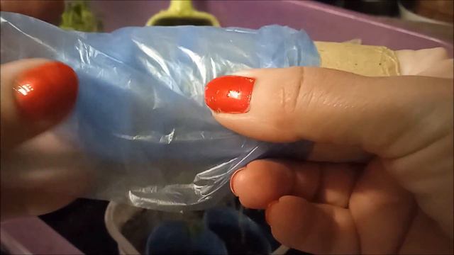 стаканчики для рассады/пикировка томатов смотреть онлайн