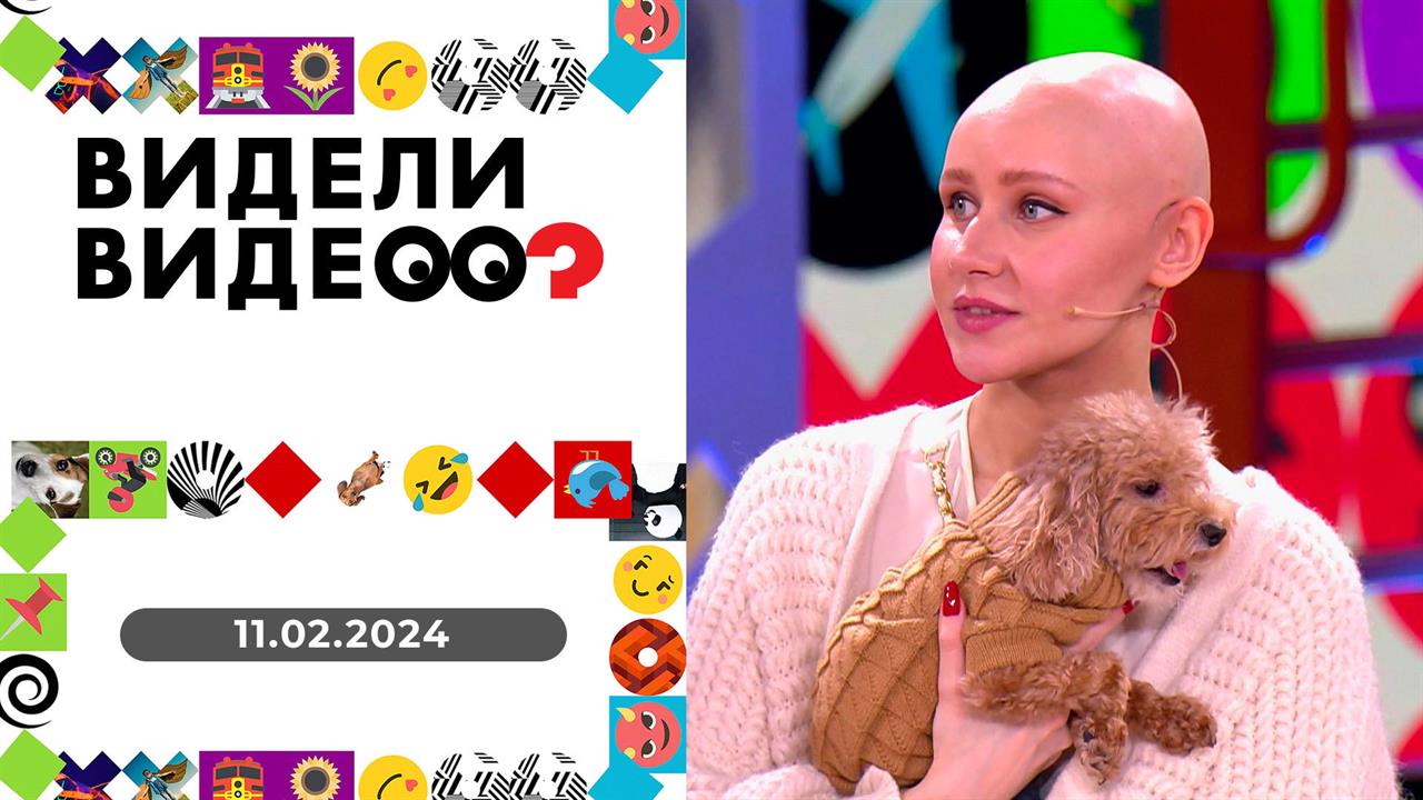 Видели видео? Выпуск от 11.02.2024 смотреть онлайн