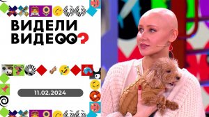 Видели видео? Выпуск от 11.02.2024