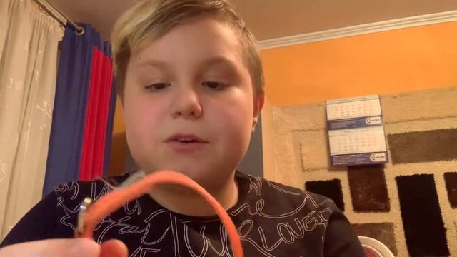 Вся амуниция моей собаки!|Phill The Dog|?? смотреть онлайн