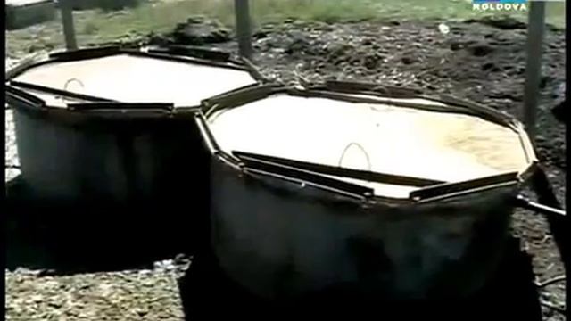 biogaz md mos zdrobau 2 смотреть онлайн